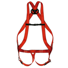 Basic Harness